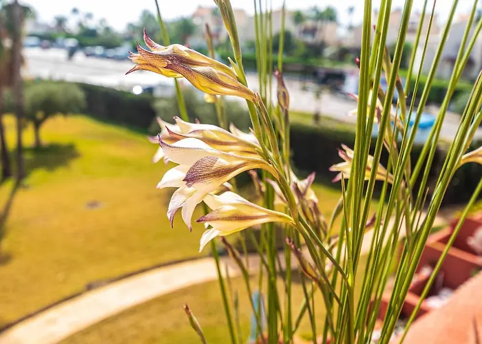 Vera Buda Natura. Ático apartamento con vistas al mar.